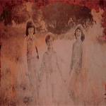 Grey Daturas : Australian Tour Grey Daturas : Australian Tour